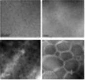 Phát triển polymer chức năng cao: Nghiên cứu các tính chất và hình thái học của vật liệu cấu trúc mạng nano tạo ra từ quá trình đồng trùng hợp ghép của styrene vào cao su thiên nhiên